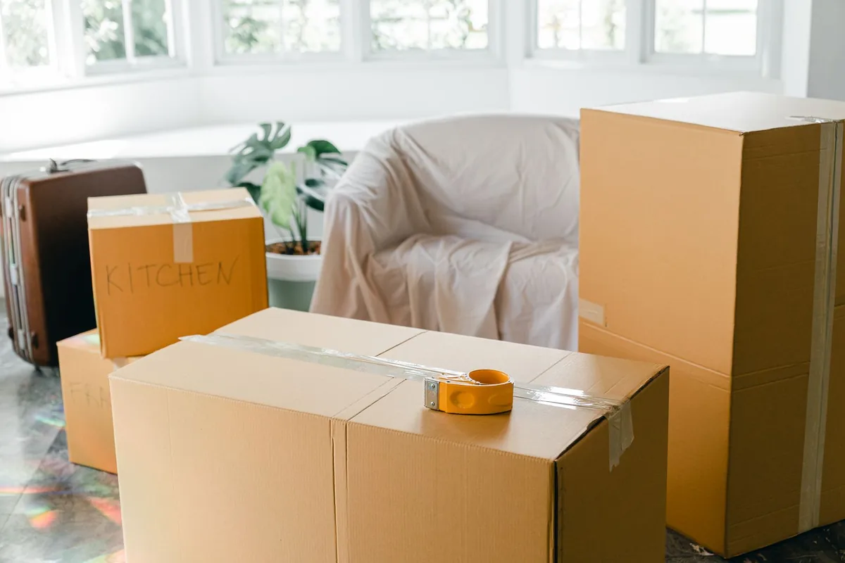 Hoarding Cleanup in Dunedin, FL